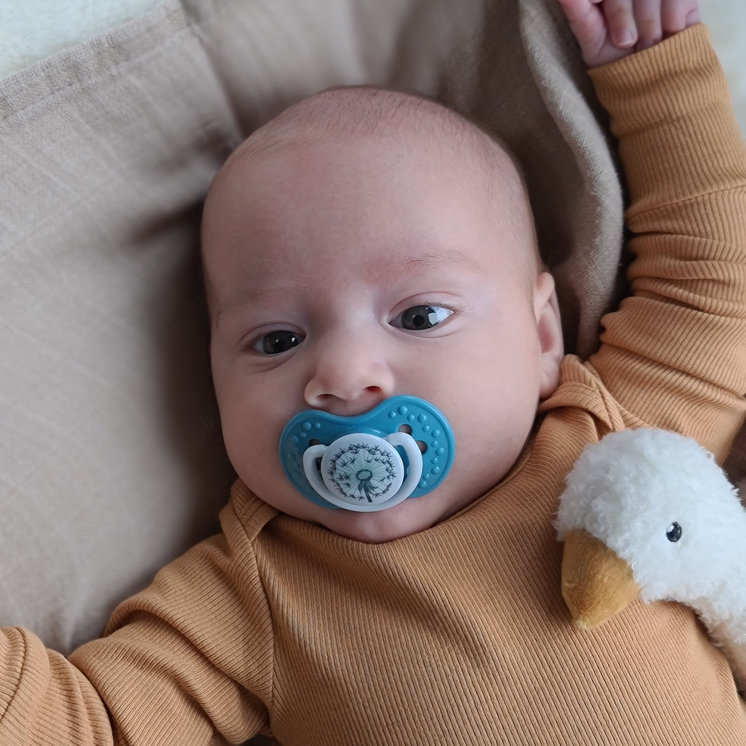 Bébé avec sa mère et sa tétine bleue Botanic collection.