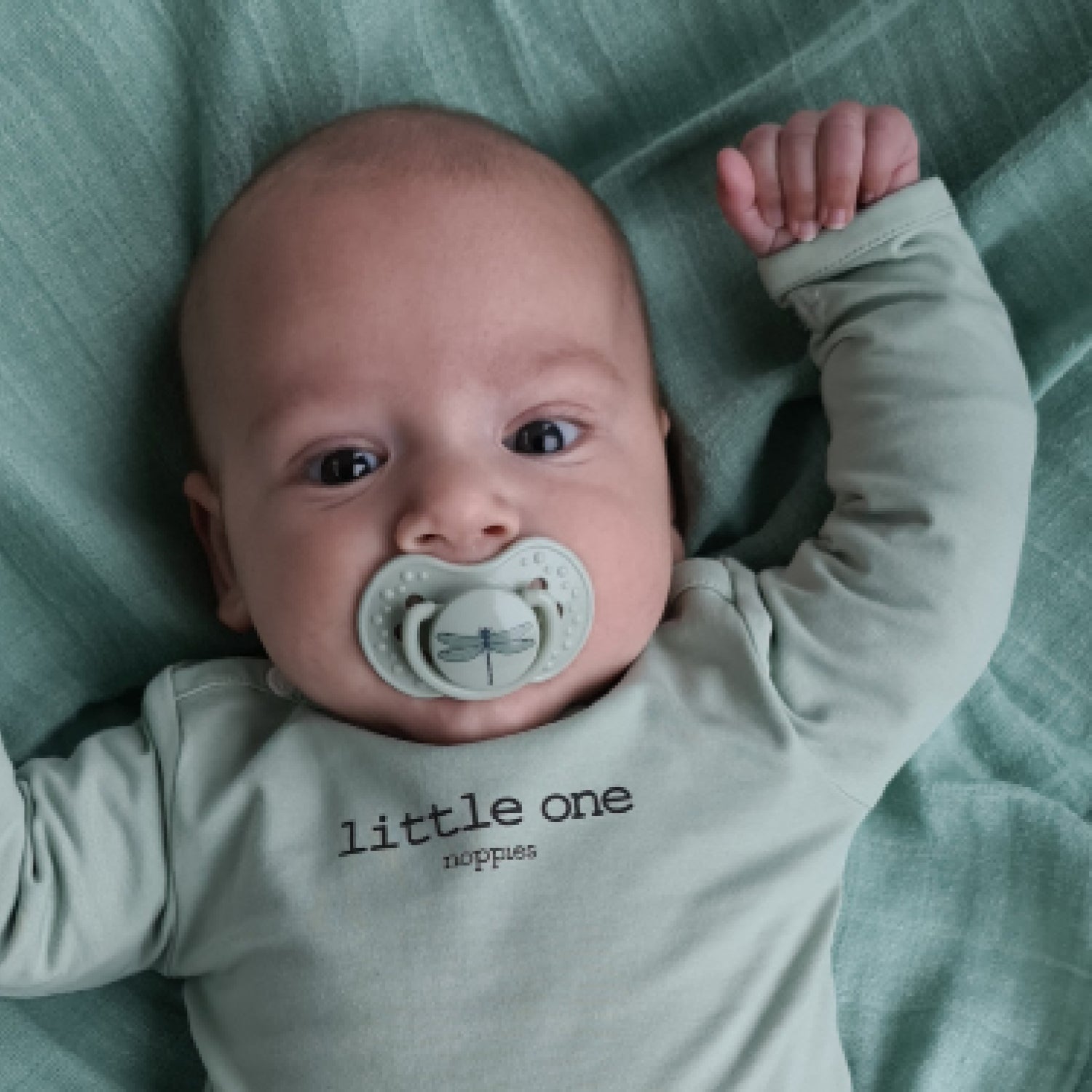 Image de navigation d'un bébé avec une sucette Botanic