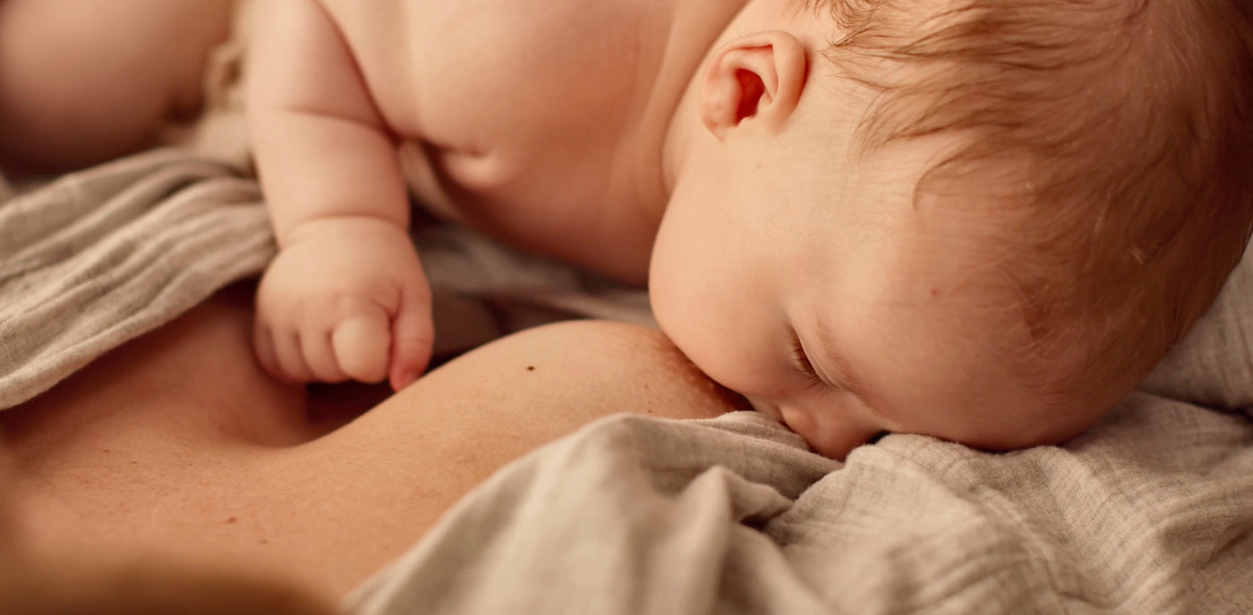 Bébé correctement allaité, montrant une bonne prise du sein